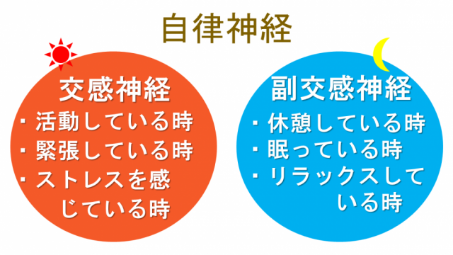 自律神経
