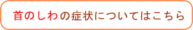 首のシワ