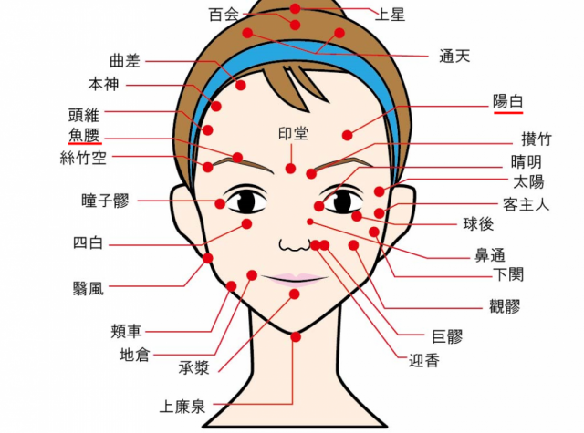 33本 貼る場所の説明入り！健康・美容・ダイエット目的貼るだけ美容鍼