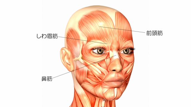 眉間のシワ